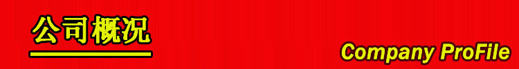 公司概况