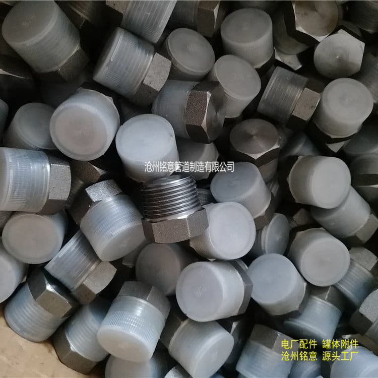 六角头螺纹管塞、堵头-沧州铭意 (3).jpg