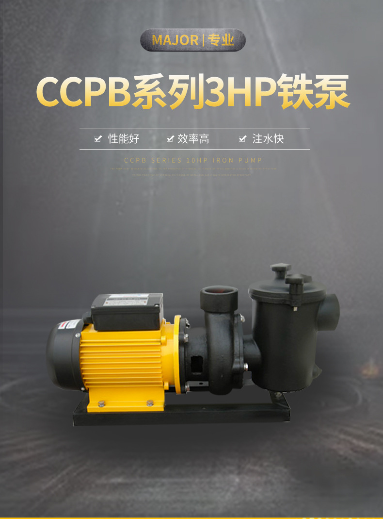 CCPB系列3HP铁泵_03.jpg