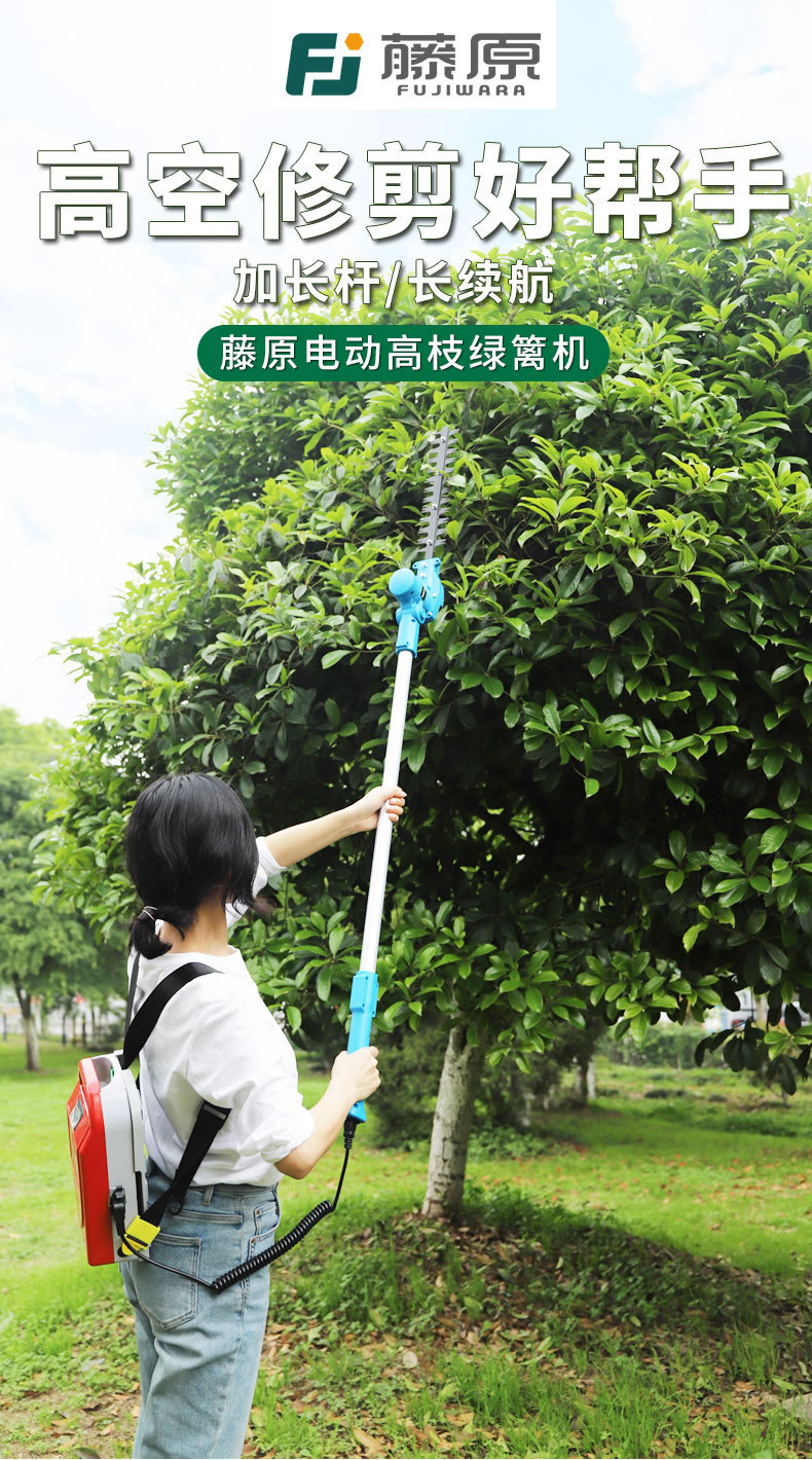 详情_r1_c1.jpg