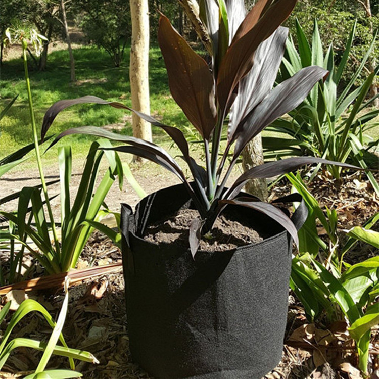 种植袋