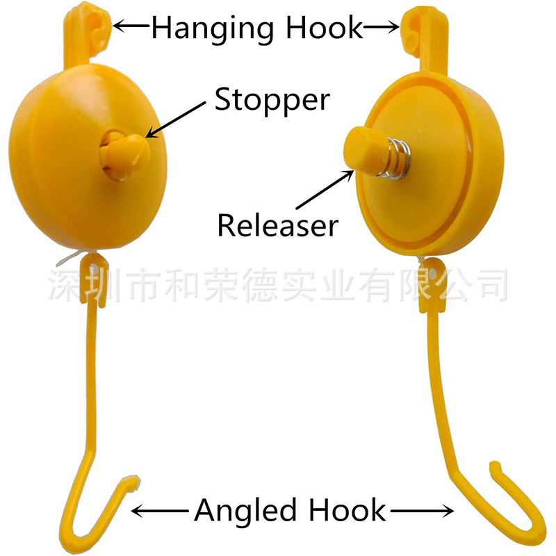 plant yoyo 正反面视图