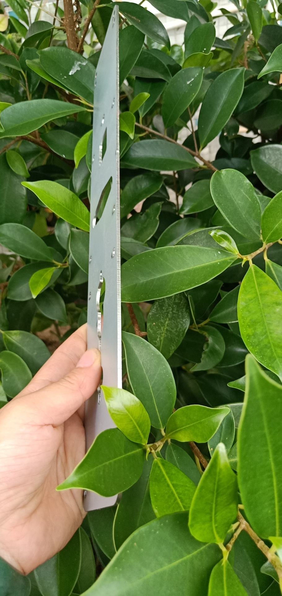 电子锁封板5