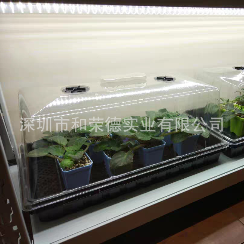 Plant incubator