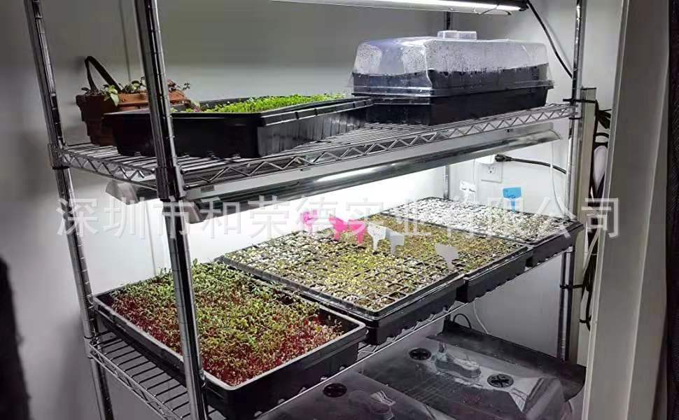 Seedling box01
