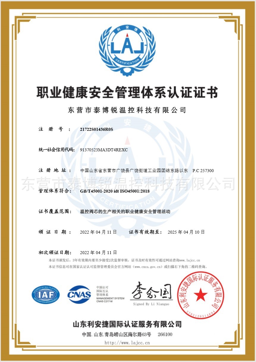 ISO45001中文 无二维码