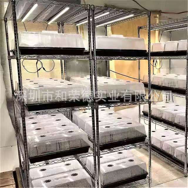 Seedling box