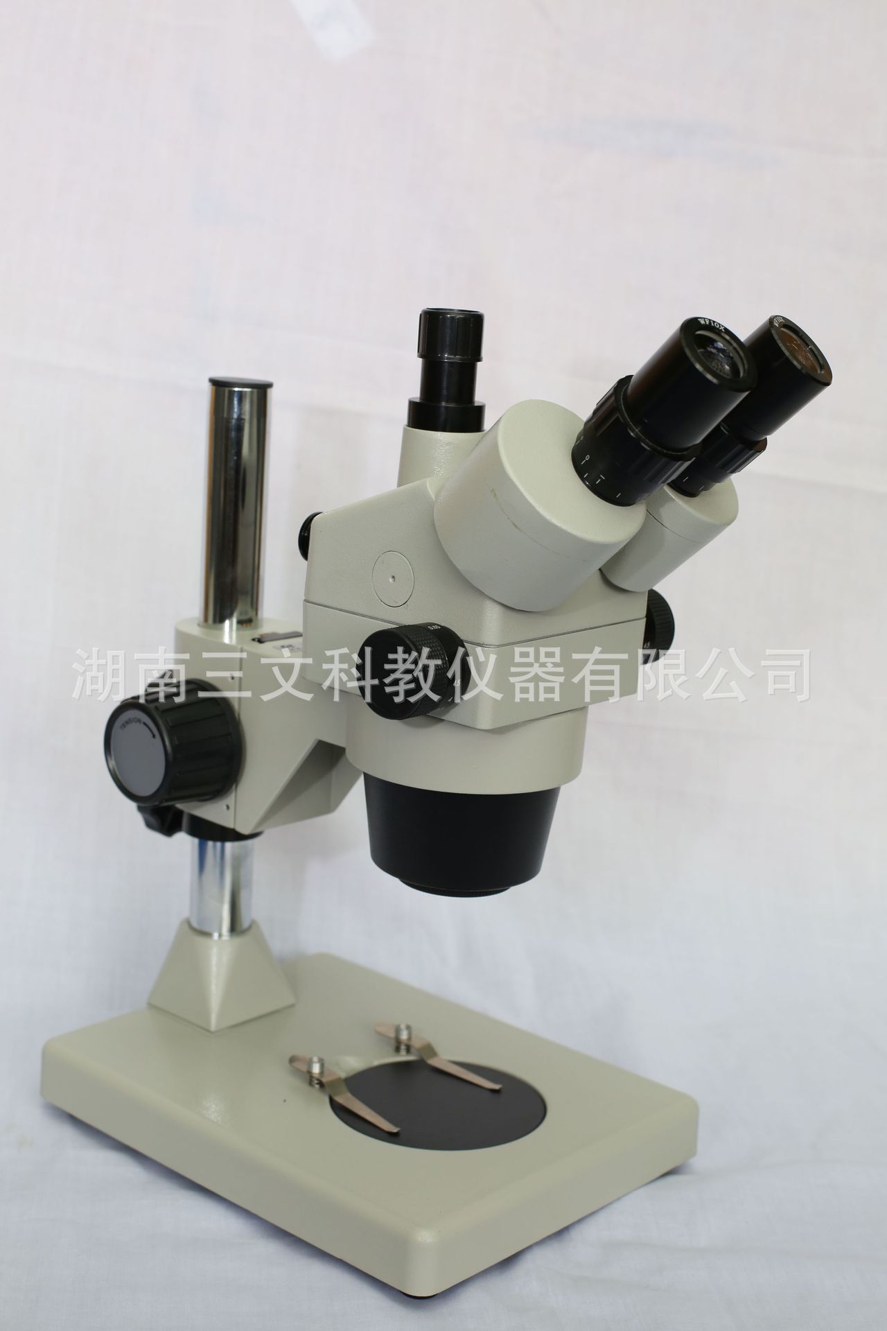 6J5A5292