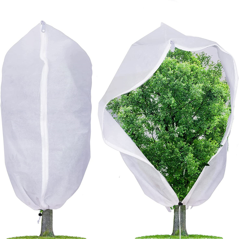 plant cover