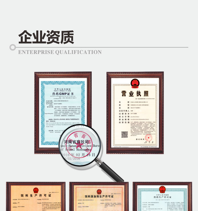 母强仔壮5_01