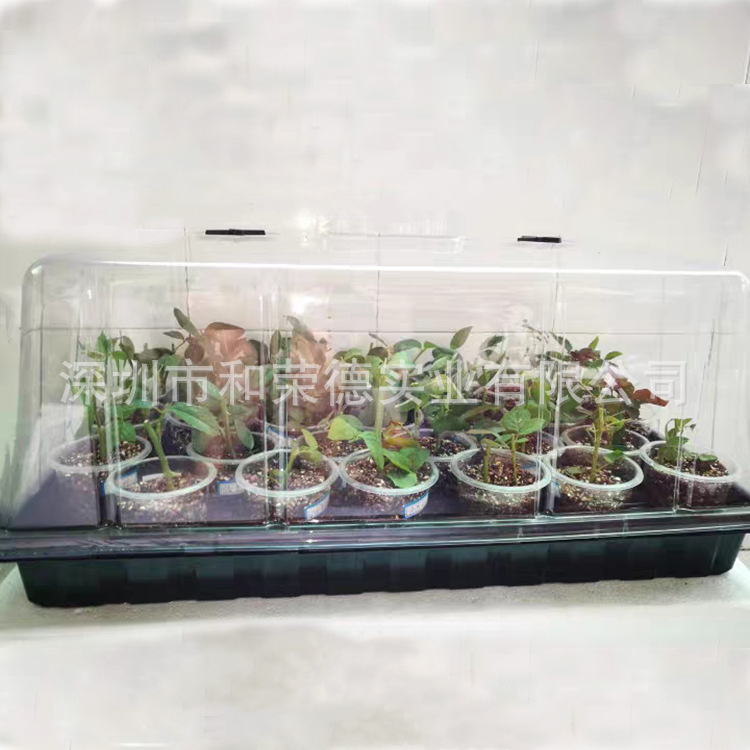 seeding box_