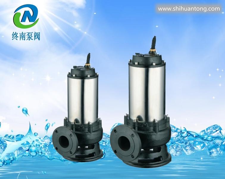 300QWP600-20-55 自耦式潜水排污泵