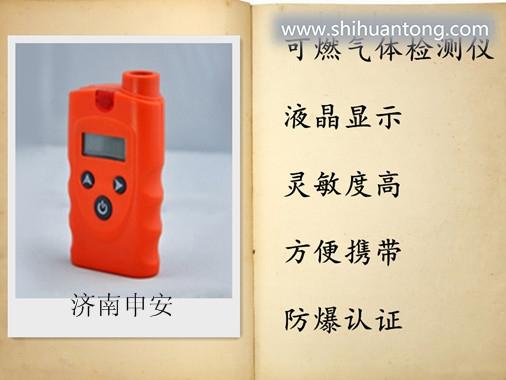 上海普通可燃气检测仪监测器